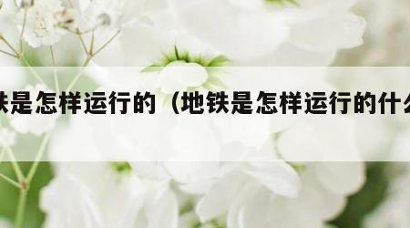 地铁是怎样运行的（地铁是怎样运行的什么轨道）