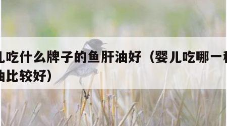 婴儿吃什么牌子的鱼肝油好（婴儿吃哪一种鱼肝油比较好）