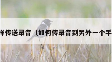 怎样传送录音（如何传录音到另外一个手机）