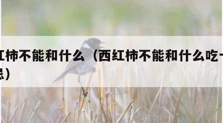 西红柿不能和什么（西红柿不能和什么吃十大禁忌）
