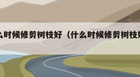 什么时候修剪树枝好（什么时候修剪树枝好一点）