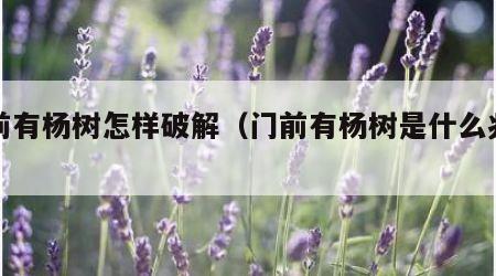 门前有杨树怎样破解（门前有杨树是什么兆头）
