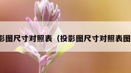 投影图尺寸对照表（投影图尺寸对照表图片）