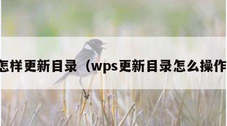 怎样更新目录（wps更新目录怎么操作）