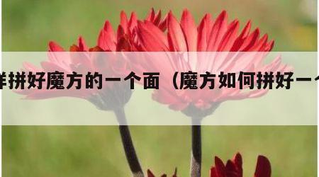 怎样拼好魔方的一个面（魔方如何拼好一个面）