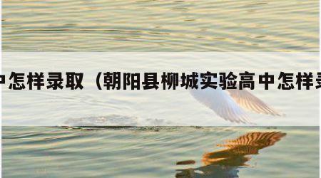 高中怎样录取（朝阳县柳城实验高中怎样录取）