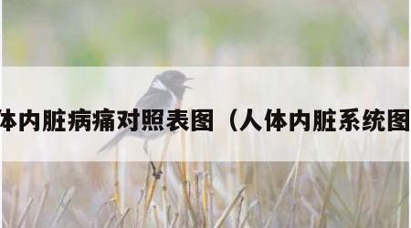人体内脏病痛对照表图（人体内脏系统图解）