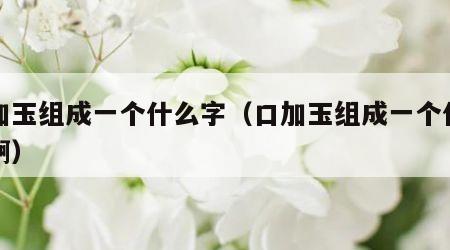 口加玉组成一个什么字（口加玉组成一个什么字啊）