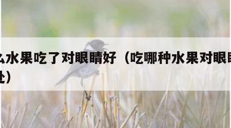 什么水果吃了对眼睛好（吃哪种水果对眼睛有好处）