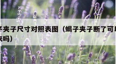 蝎子夹子尺寸对照表图（蝎子夹子断了可以长出来吗）