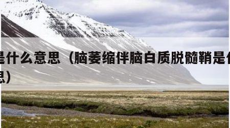鞘是什么意思（脑萎缩伴脑白质脱髓鞘是什么意思）