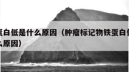 铁蛋白低是什么原因（肿瘤标记物铁蛋白低是什么原因）