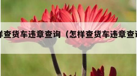怎样查货车违章查询（怎样查货车违章查询电话）