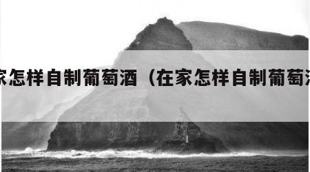 在家怎样自制葡萄酒（在家怎样自制葡萄酒窍门）