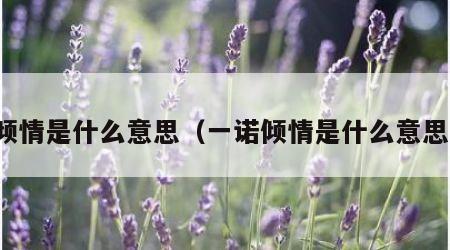 倾情是什么意思（一诺倾情是什么意思）
