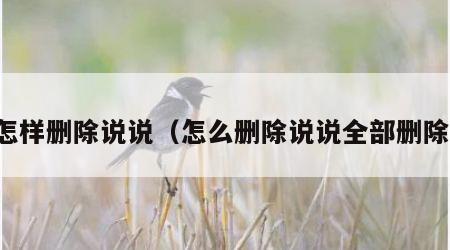 怎样删除说说（怎么删除说说全部删除）