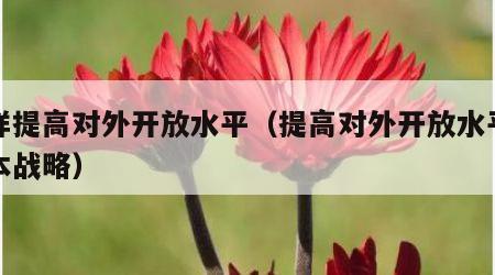 怎样提高对外开放水平（提高对外开放水平的基本战略）