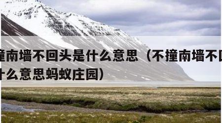 不撞南墙不回头是什么意思（不撞南墙不回头是什么意思蚂蚁庄园）