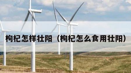 枸杞怎样壮阳（枸杞怎么食用壮阳）