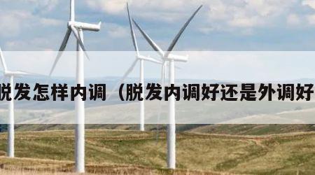 脱发怎样内调（脱发内调好还是外调好）