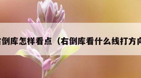 右倒库怎样看点（右倒库看什么线打方向）