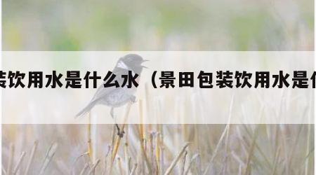包装饮用水是什么水（景田包装饮用水是什么水）