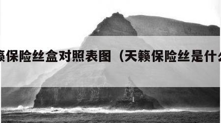 天籁保险丝盒对照表图（天籁保险丝是什么型号）