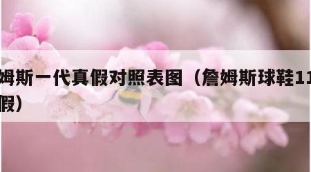 詹姆斯一代真假对照表图（詹姆斯球鞋11代真假）