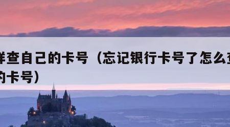 怎样查自己的卡号（忘记银行卡号了怎么查自己的卡号）