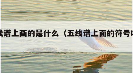 五线谱上画的是什么（五线谱上面的符号叫什么）