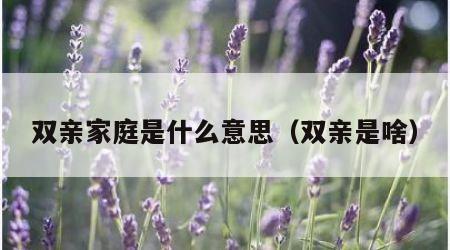 双亲家庭是什么意思（双亲是啥）