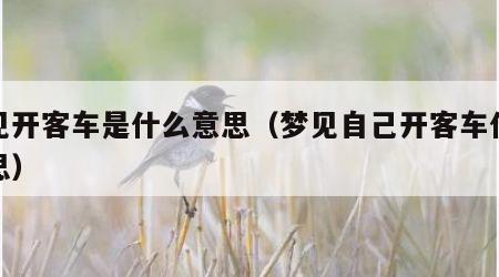 梦见开客车是什么意思（梦见自己开客车什么意思）