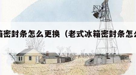冰箱密封条怎么更换（老式冰箱密封条怎么更换）