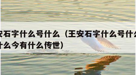 王安石字什么号什么（王安石字什么号什么人称什么今有什么传世）