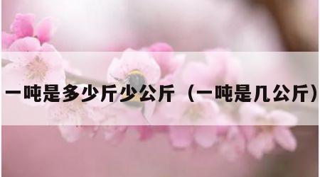 一吨是多少斤少公斤（一吨是几公斤）