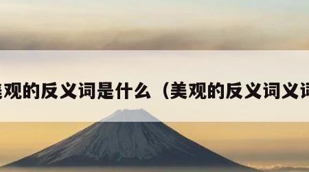 美观的反义词是什么（美观的反义词义词）