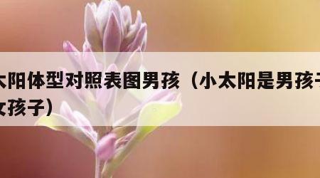 小太阳体型对照表图男孩（小太阳是男孩子还是女孩子）