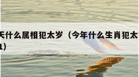 今天什么属相犯太岁（今年什么生肖犯太岁2021）