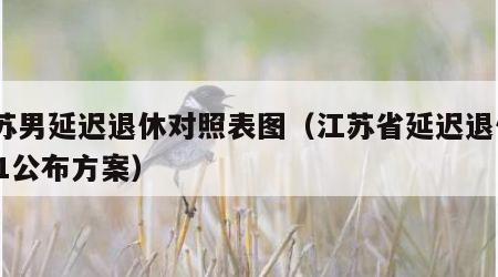 江苏男延迟退休对照表图（江苏省延迟退休2021公布方案）