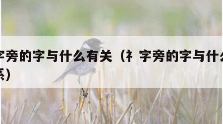 礻字旁的字与什么有关（礻字旁的字与什么有关系）