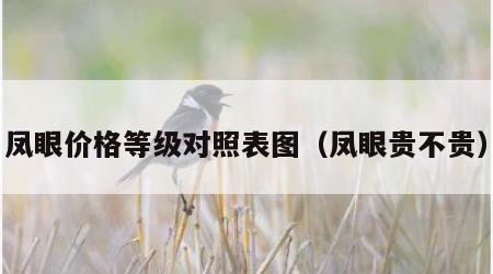 凤眼价格等级对照表图（凤眼贵不贵）