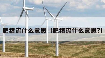 肥猪流什么意思（肥猪流什么意思?）