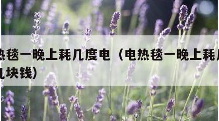 电热毯一晚上耗几度电（电热毯一晚上耗几度电几块钱）