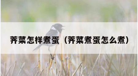 荠菜怎样煮蛋（荠菜煮蛋怎么煮）