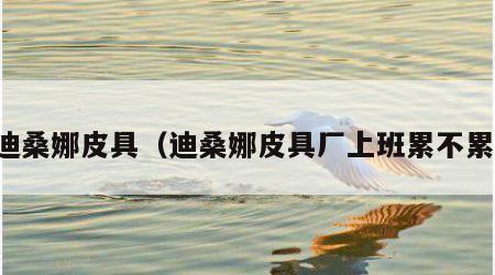 迪桑娜皮具（迪桑娜皮具厂上班累不累）