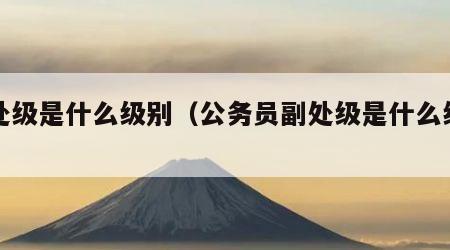 副处级是什么级别（公务员副处级是什么级别）
