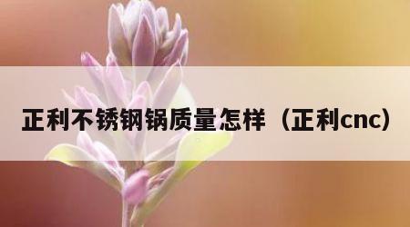 正利不锈钢锅质量怎样（正利cnc）
