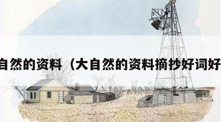 大自然的资料（大自然的资料摘抄好词好句）