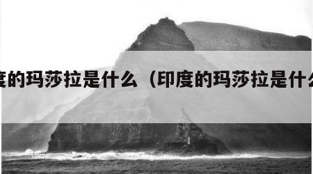 印度的玛莎拉是什么（印度的玛莎拉是什么材料）