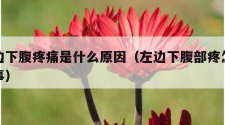 左边下腹疼痛是什么原因（左边下腹部疼怎么回事）